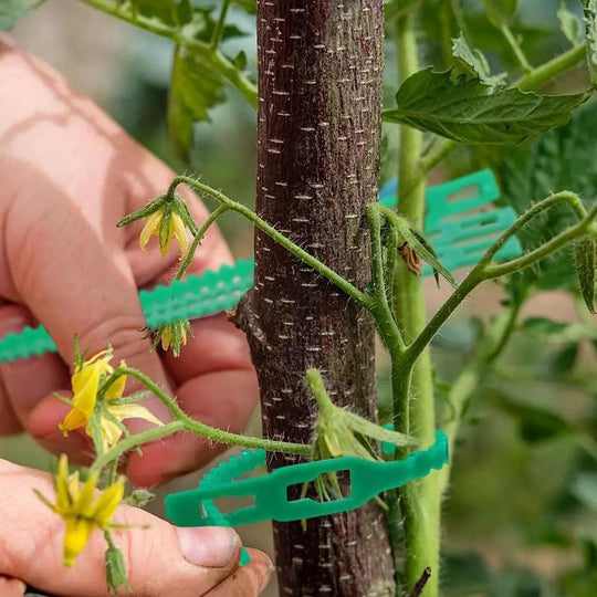 Twist Tie Garden Plant Clips – Reusable Plant Ties for Climbing Plants, Garden Twine, and Plant Securing Clips