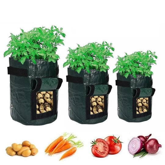 Thickened Potato Grow Bag with Handles | Durable PE Vegetable Planting Bag for Indoor & Outdoor Use