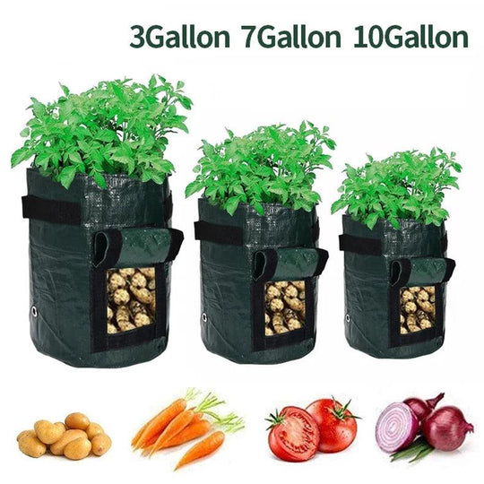 Thickened Potato Grow Bag with Handles | Durable PE Vegetable Planting Bag for Indoor & Outdoor Use