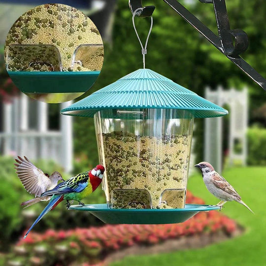 Premium Cardinal Bird Feeder – Squirrel-Proof, Automatic Outdoor Seed Dispenser for Cardinals and Wild Birds, Large Capacity Hanging Garden Feeder