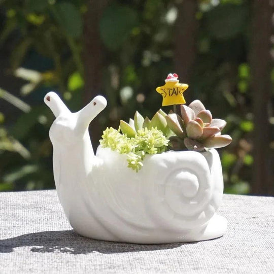 Ceramic Turtle Snail Planter - Cute Animal Succulent Pot for Cactus and Bonsai