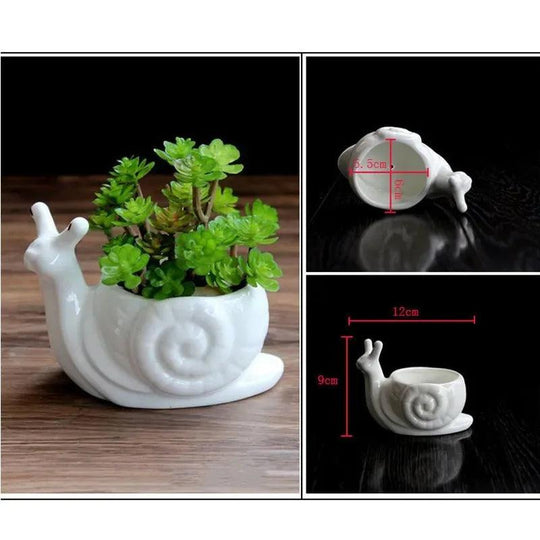 Ceramic Turtle Snail Planter - Cute Animal Succulent Pot for Cactus and Bonsai