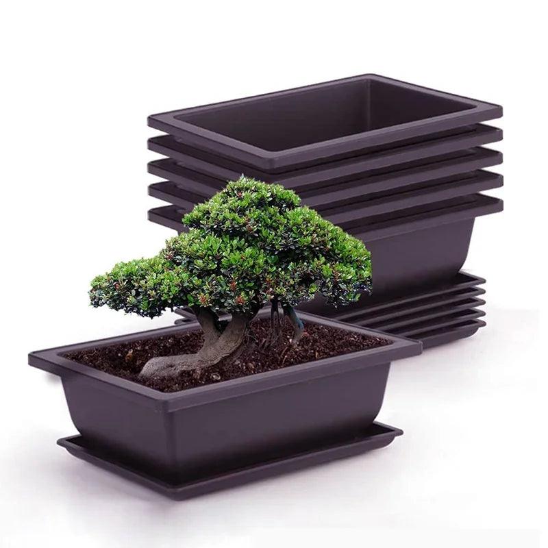 Plastic Flower Pot - Square and Rectangle Planters for Balcony and Nursery