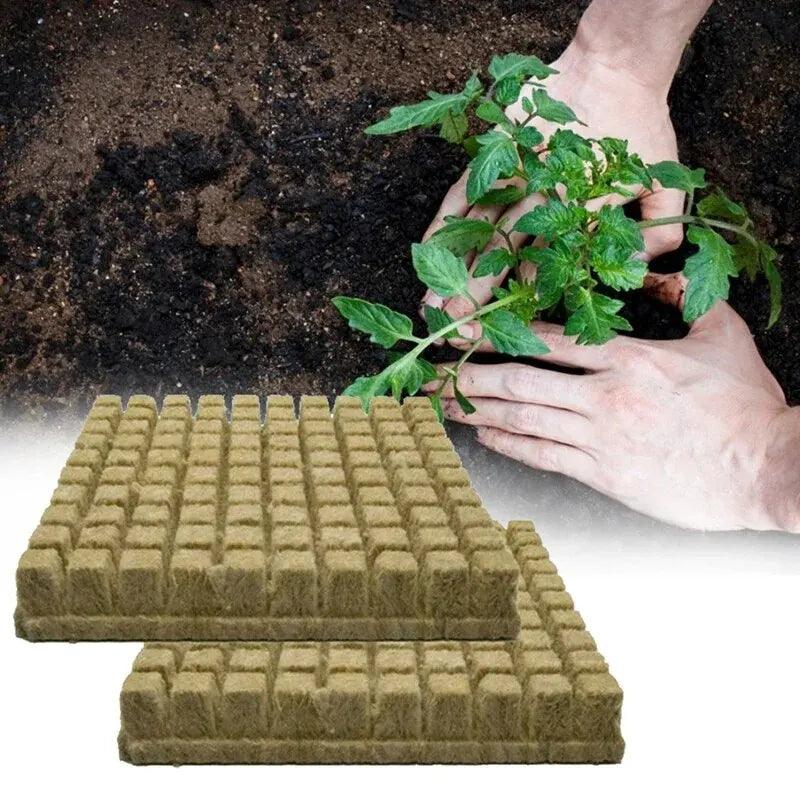 50pcs 25x25mm Stonewool Hydroponic Grow Media Cubes - Soilless Substrate for Seedlings and Plants