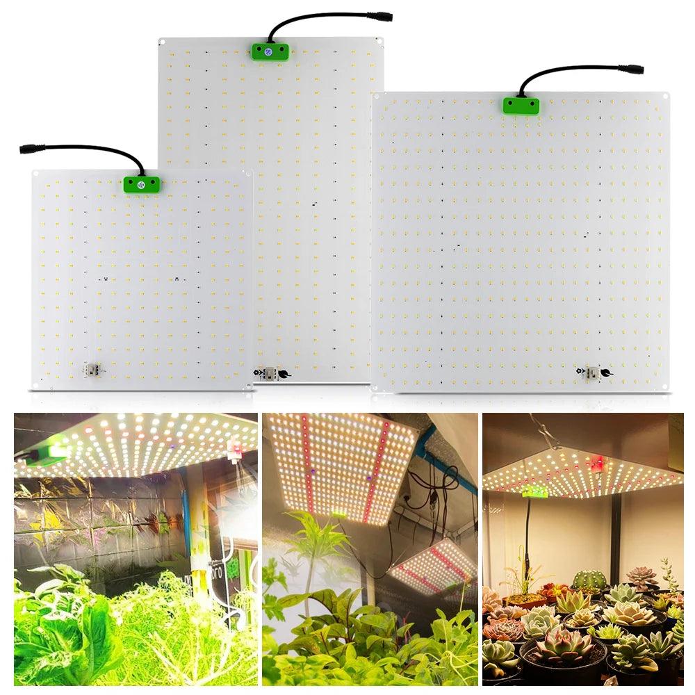 LM281B Quantum LED Grow Light - Full Spectrum Grow Lamp for Hydroponic and Indoor Gardens