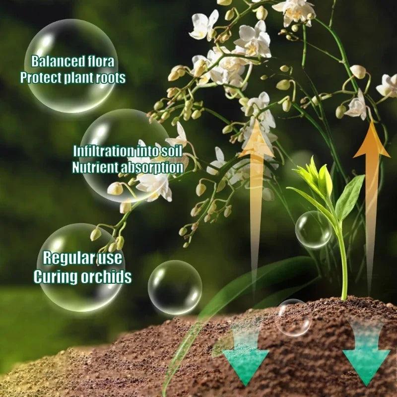 High-Performance Nutrient Solution for Orchids & Succulents - Boost Root Growth & Health