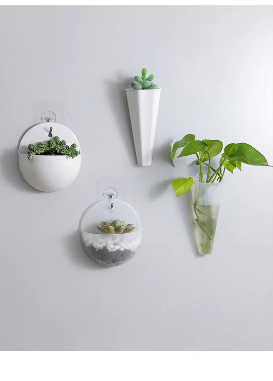 Indoor & Outdoor Wall Planters: Hydroponic Flower Pot, Vertical Garden, Wall Hanging & Mounted Plant Holders