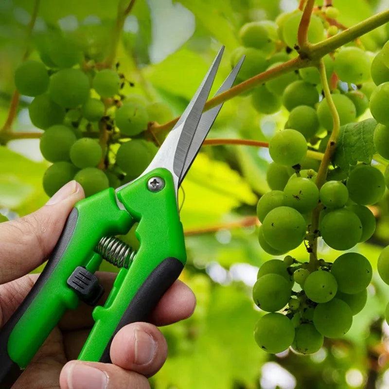 Stainless Steel Secateurs - Bonsai Shears for Pruning, Fruit Picking, and Household Use