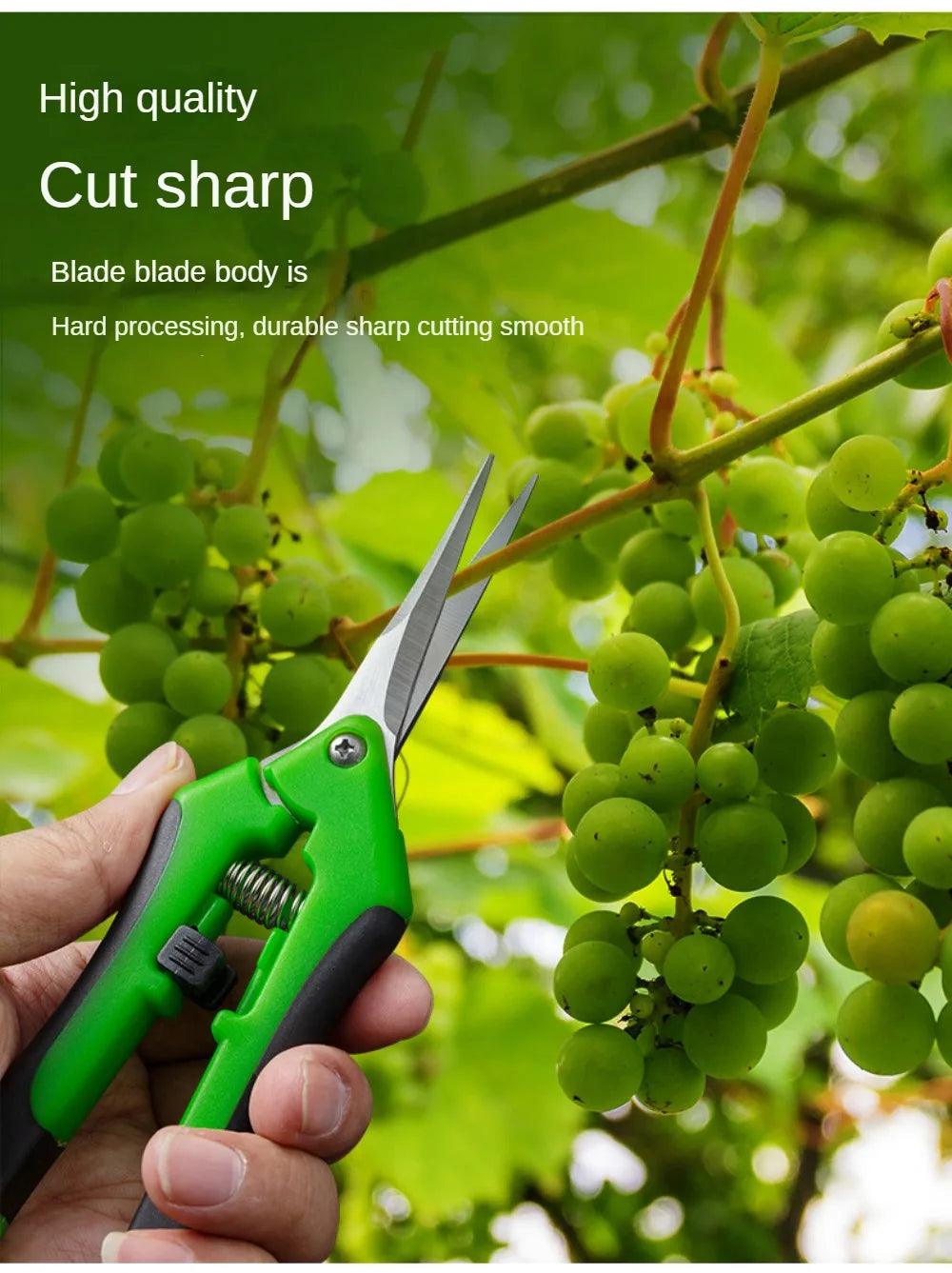 Stainless Steel Secateurs - Bonsai Shears for Pruning, Fruit Picking, and Household Use