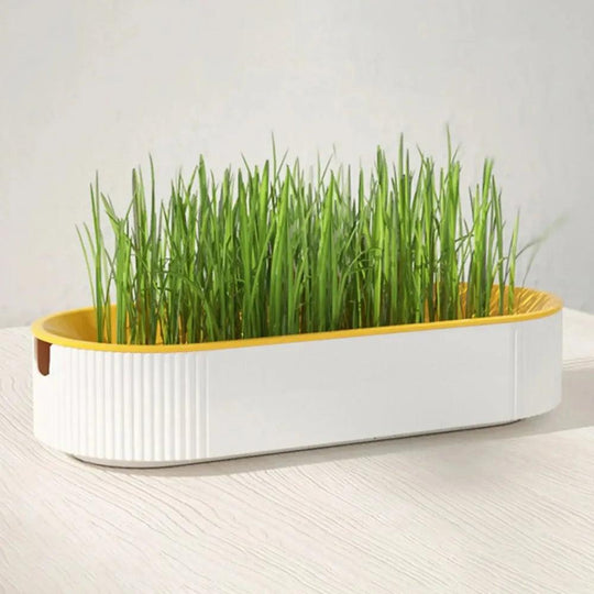 Cat Grass Planting Box – Soilless Hydroponic Seed Sprouter Tray for Home Use | Greenhouse Growing Cup