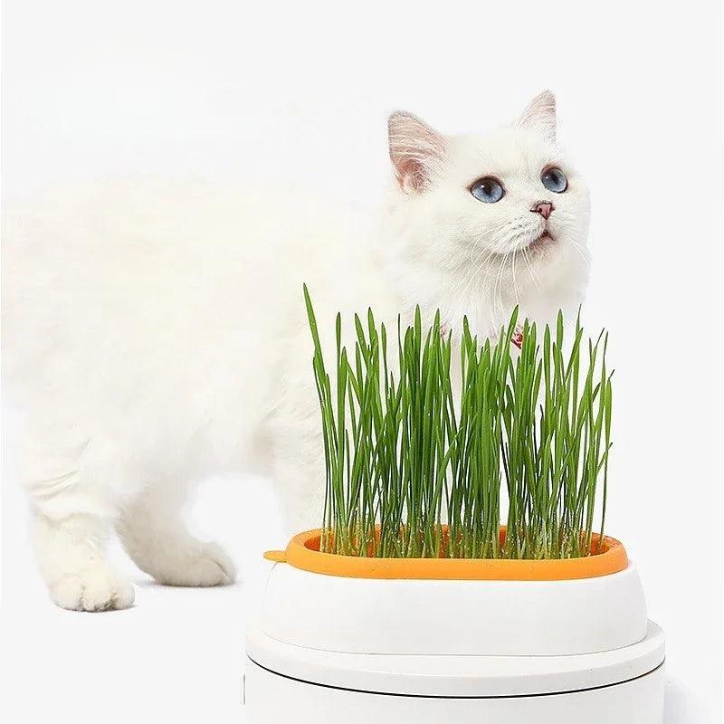 Cat Grass Planting Box – Soilless Hydroponic Seed Sprouter Tray for Home Use | Greenhouse Growing Cup