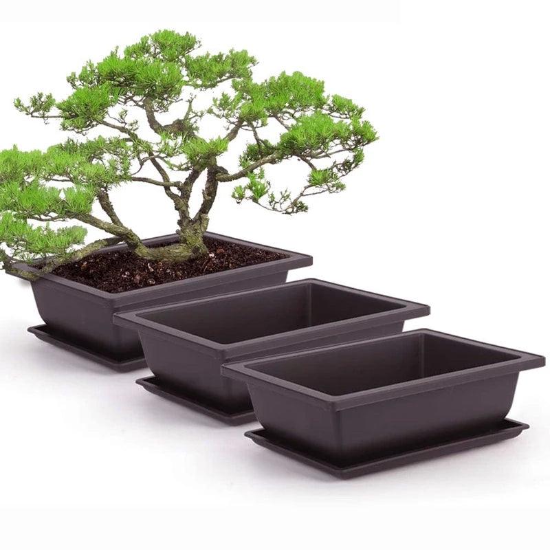 Plastic Training Pots - Imitation Succulent and Bonsai Planters