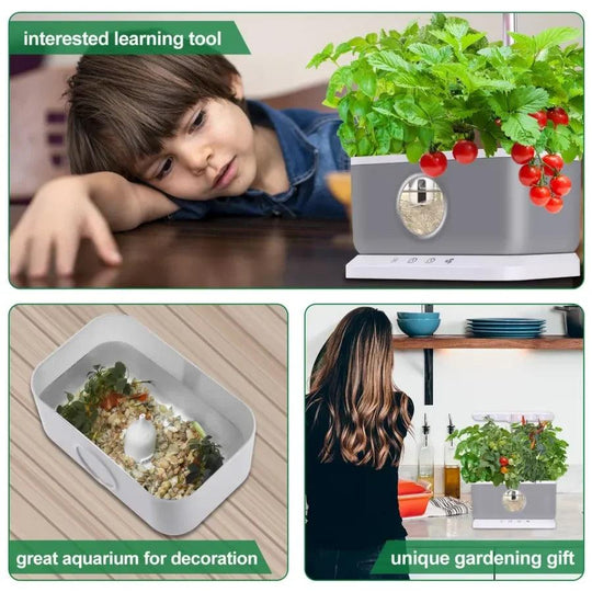 Home Smart Hydroponics System 6 Pods - Indoor Vegetable, Herb, and Flower Garden Kit with LED Grow Light