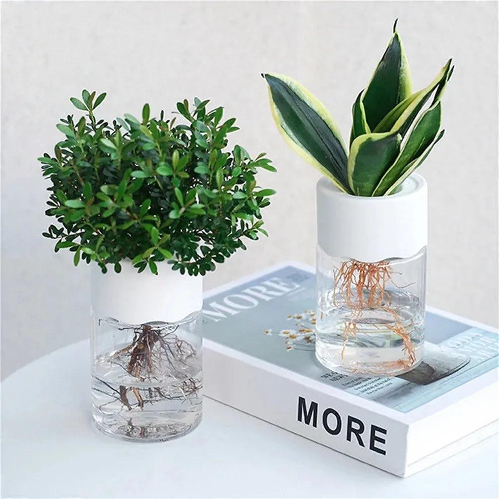 Mini Hydroponic Flower Pot – Transparent Soilless Plant Pot for Home Decor | Stylish Hydroponic Net Cups