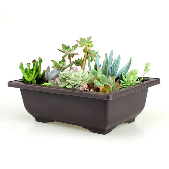 Plastic Flower Pot - Square and Rectangle Planters for Balcony and Nursery