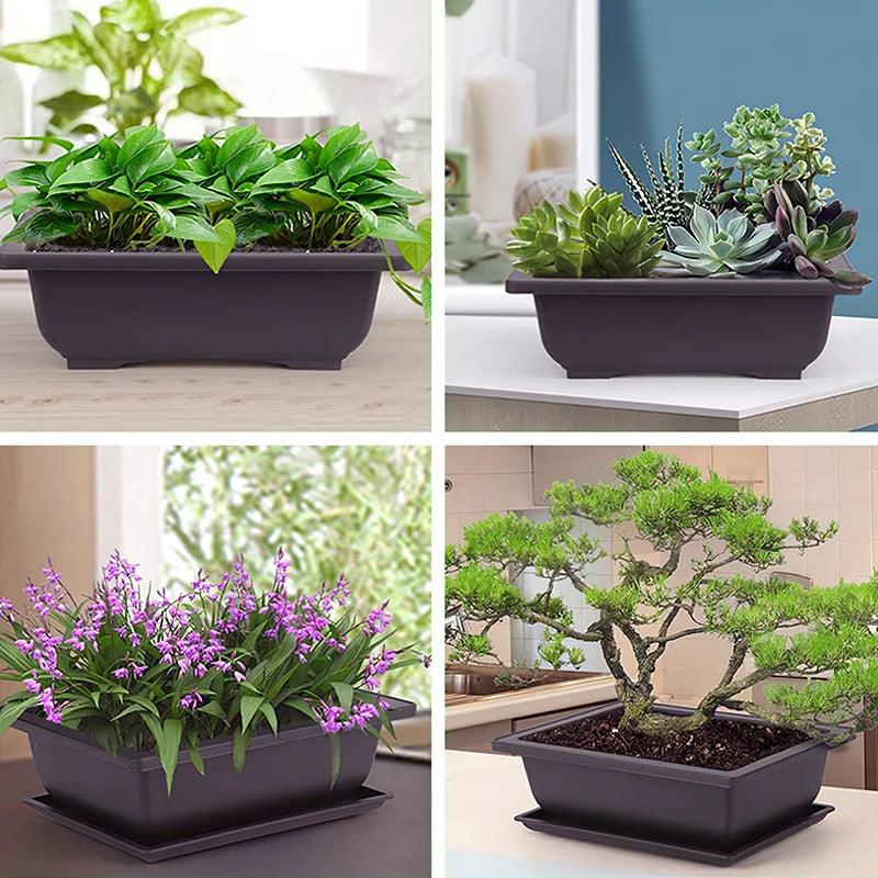 Plastic Training Pots - Imitation Succulent and Bonsai Planters