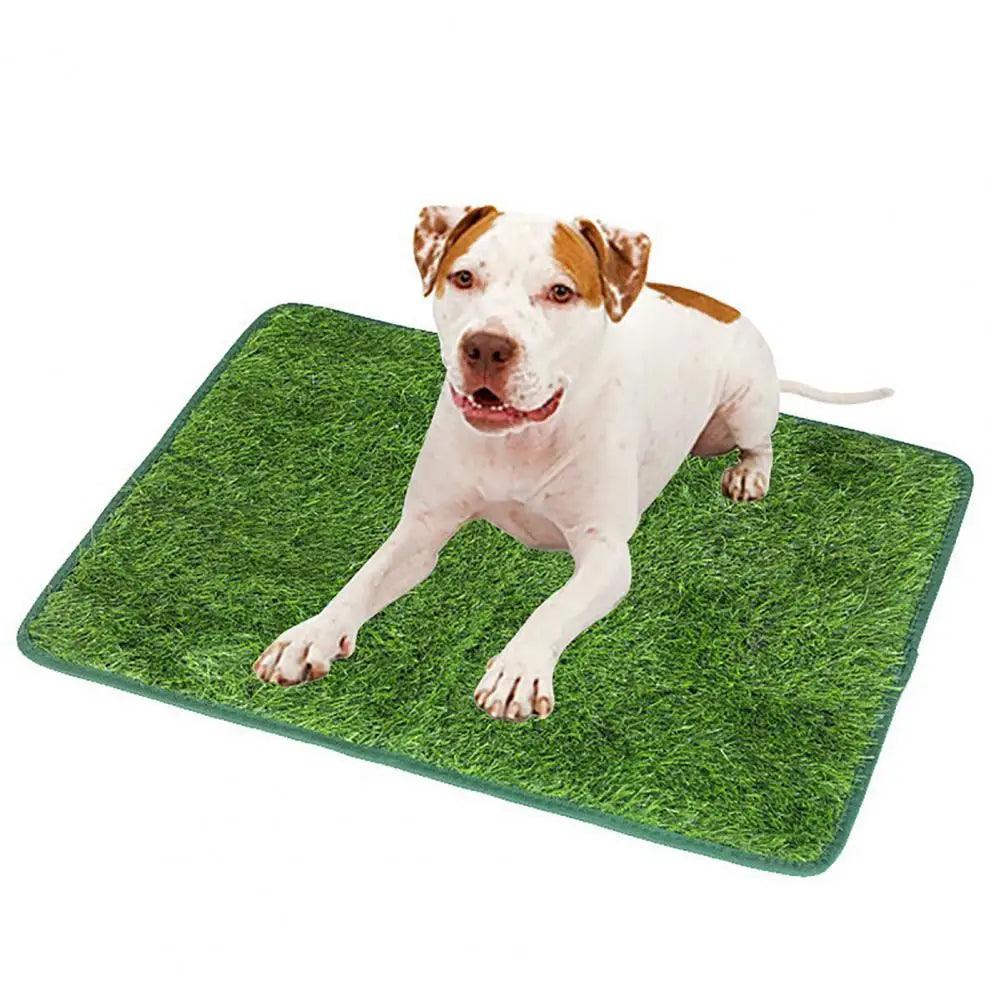 Odor-Free Artificial Grass for Dogs - Durable Pet Turf Pee Mat for Clean Home | Fake Grass for Dogs