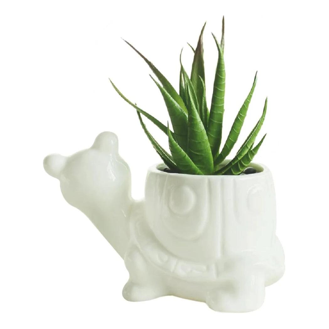 Ceramic Turtle Snail Planter - Cute Animal Succulent Pot for Cactus and Bonsai