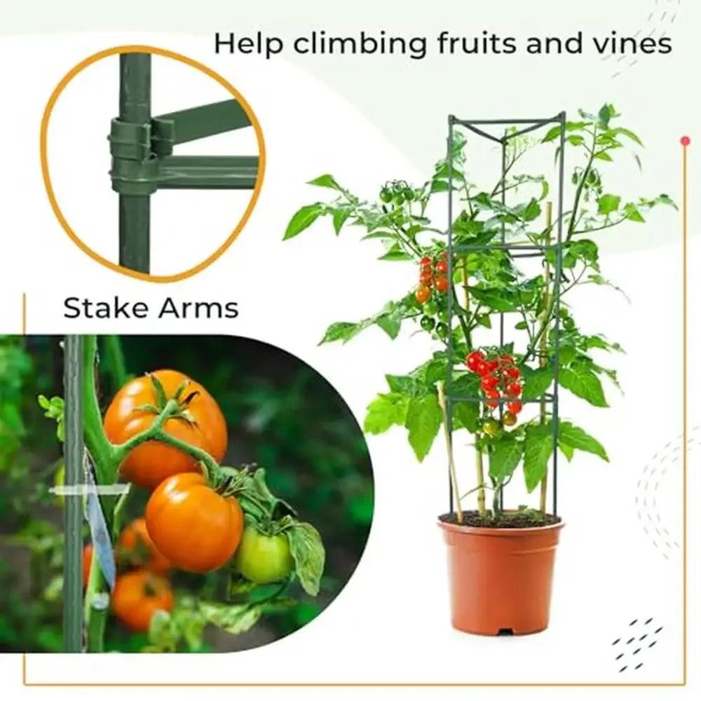 Plant Support Stakes Set - Steel Garden Stakes, 4ft to 7ft, for Tomato, Orchid, Bean - Clips & Twist Ties Included