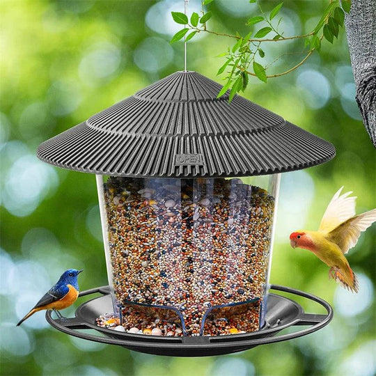 Cardinal Bird Feeder - Squirrel Proof Hanging Bird Feeder for Cardinals with Large Capacity & Durable Design