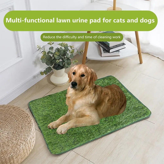 Odor-Free Artificial Grass for Dogs - Durable Pet Turf Pee Mat for Clean Home | Fake Grass for Dogs