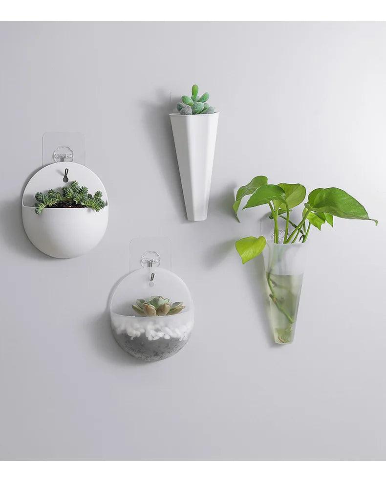 Indoor & Outdoor Wall Planters: Hydroponic Flower Pot, Vertical Garden, Wall Hanging & Mounted Plant Holders