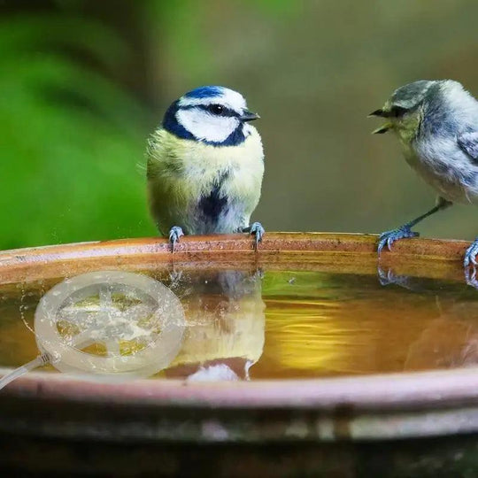 Thermostatically Controlled 70W Bird Bath Heater - Keep Water Ice-Free All Winter, Solar Powered Heated Birdbath Deicer for Birds, Livestock, & Pets