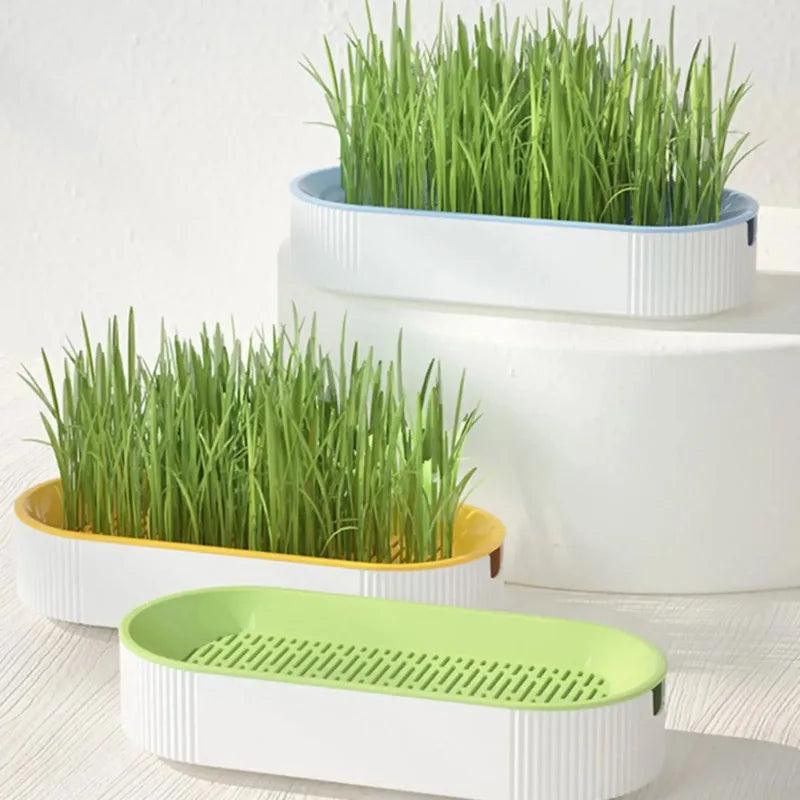 Cat Grass Planting Box – Soilless Hydroponic Seed Sprouter Tray for Home Use | Greenhouse Growing Cup