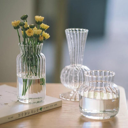 Nordic Glass Vase for Aromatherapy – Stylish Hydroponic Flower Pot | Home Dinner Table and Living Room Decoration